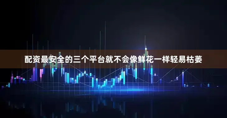 配资最安全的三个平台就不会像鲜花一样轻易枯萎