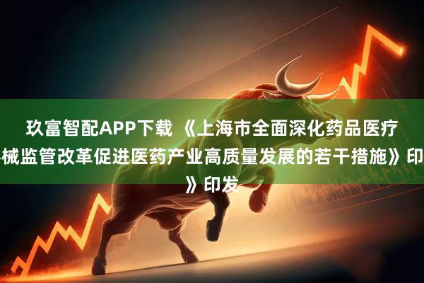 玖富智配APP下载 《上海市全面深化药品医疗器械监管改革促进医药产业高质量发展的若干措施》印发