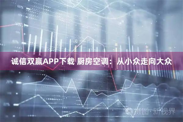 诚信双赢APP下载 厨房空调：从小众走向大众