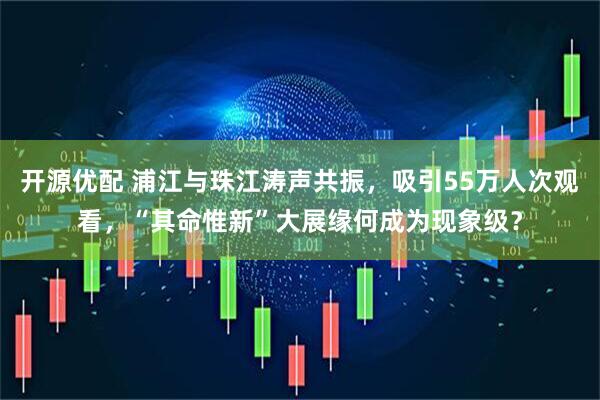 开源优配 浦江与珠江涛声共振，吸引55万人次观看，“其命惟新”大展缘何成为现象级？