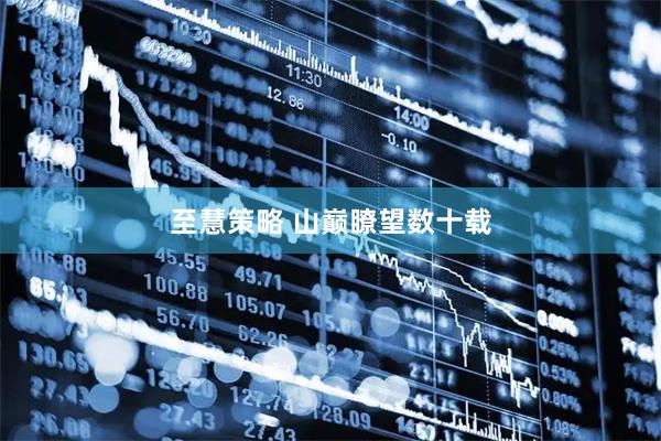 至慧策略 山巅瞭望数十载