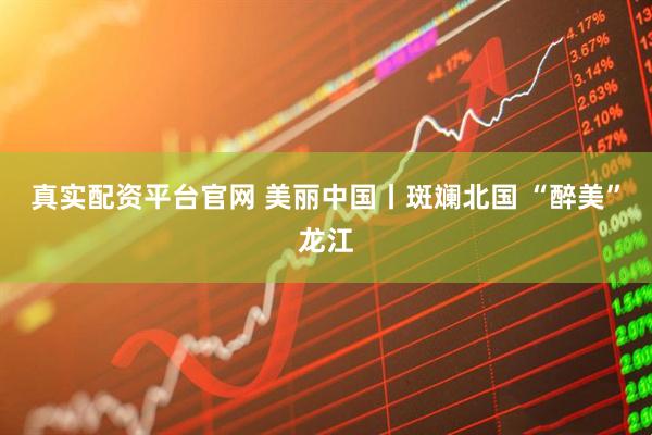 真实配资平台官网 美丽中国丨斑斓北国 “醉美”龙江
